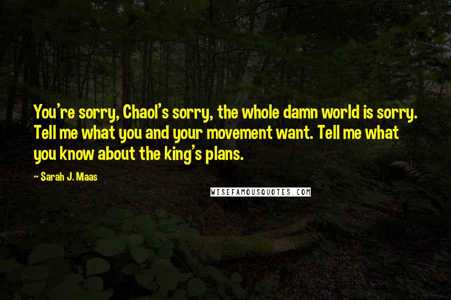 Sarah J. Maas Quotes: You're sorry, Chaol's sorry, the whole damn world is sorry. Tell me what you and your movement want. Tell me what you know about the king's plans.