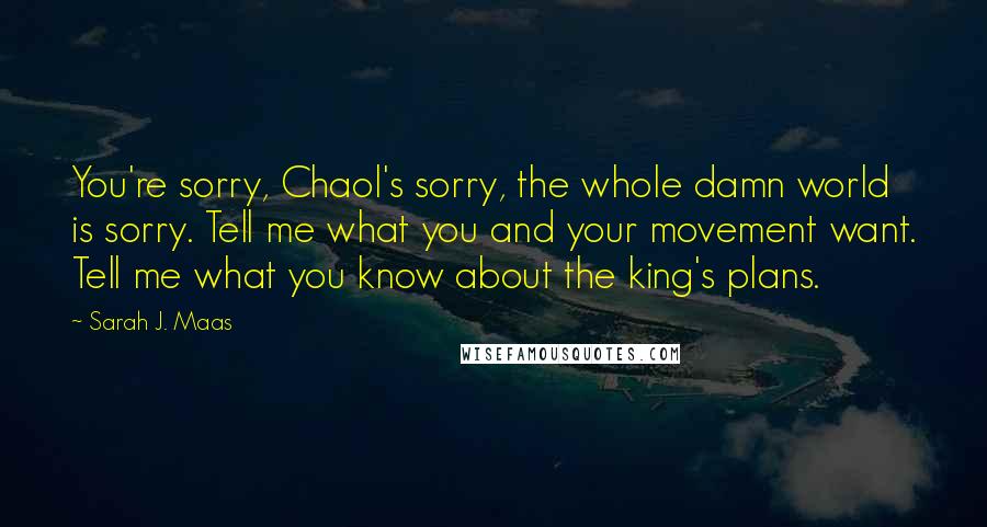 Sarah J. Maas Quotes: You're sorry, Chaol's sorry, the whole damn world is sorry. Tell me what you and your movement want. Tell me what you know about the king's plans.