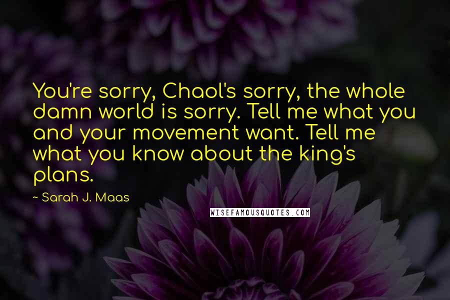 Sarah J. Maas Quotes: You're sorry, Chaol's sorry, the whole damn world is sorry. Tell me what you and your movement want. Tell me what you know about the king's plans.