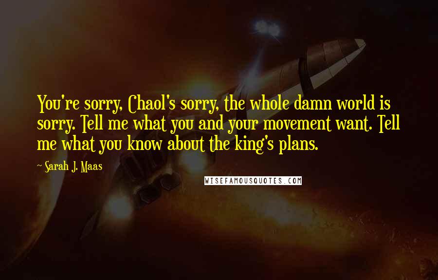 Sarah J. Maas Quotes: You're sorry, Chaol's sorry, the whole damn world is sorry. Tell me what you and your movement want. Tell me what you know about the king's plans.