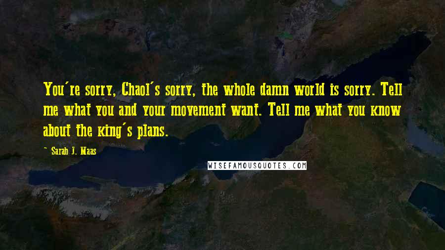 Sarah J. Maas Quotes: You're sorry, Chaol's sorry, the whole damn world is sorry. Tell me what you and your movement want. Tell me what you know about the king's plans.