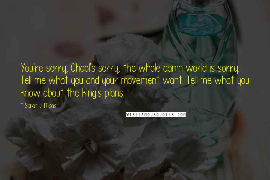 Sarah J. Maas Quotes: You're sorry, Chaol's sorry, the whole damn world is sorry. Tell me what you and your movement want. Tell me what you know about the king's plans.