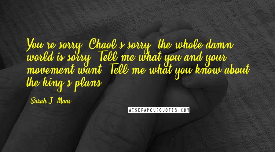 Sarah J. Maas Quotes: You're sorry, Chaol's sorry, the whole damn world is sorry. Tell me what you and your movement want. Tell me what you know about the king's plans.