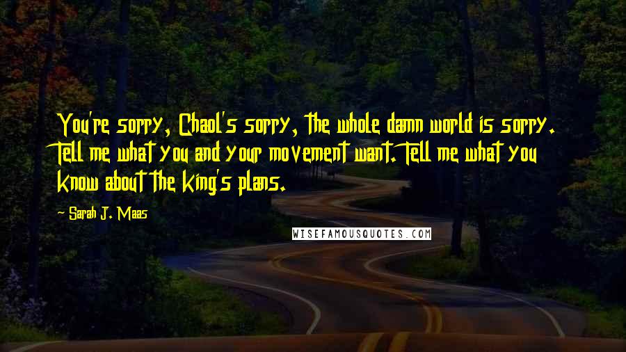 Sarah J. Maas Quotes: You're sorry, Chaol's sorry, the whole damn world is sorry. Tell me what you and your movement want. Tell me what you know about the king's plans.