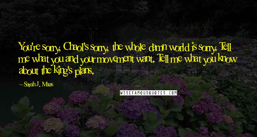 Sarah J. Maas Quotes: You're sorry, Chaol's sorry, the whole damn world is sorry. Tell me what you and your movement want. Tell me what you know about the king's plans.