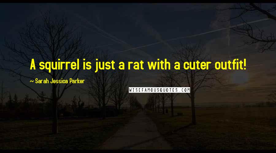 Sarah Jessica Parker Quotes: A squirrel is just a rat with a cuter outfit!