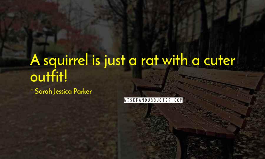 Sarah Jessica Parker Quotes: A squirrel is just a rat with a cuter outfit!