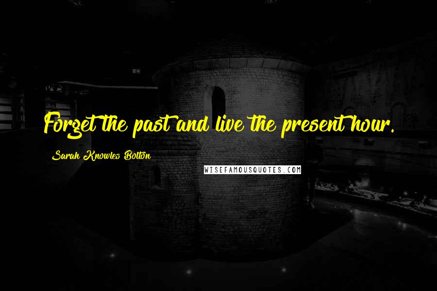 Sarah Knowles Bolton Quotes: Forget the past and live the present hour.