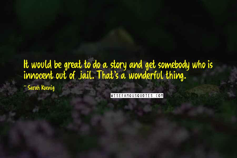 Sarah Koenig Quotes: It would be great to do a story and get somebody who is innocent out of jail. That's a wonderful thing.