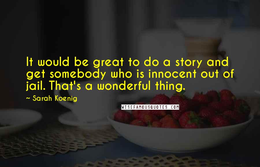 Sarah Koenig Quotes: It would be great to do a story and get somebody who is innocent out of jail. That's a wonderful thing.