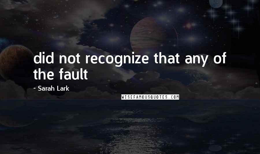 Sarah Lark Quotes: did not recognize that any of the fault