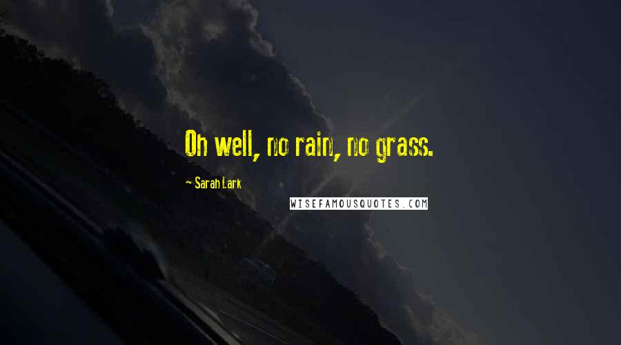 Sarah Lark Quotes: Oh well, no rain, no grass.