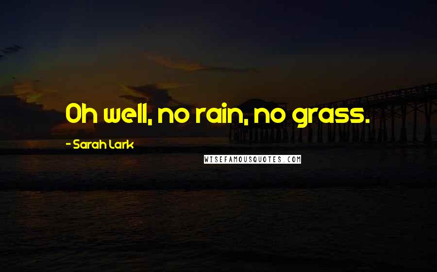 Sarah Lark Quotes: Oh well, no rain, no grass.