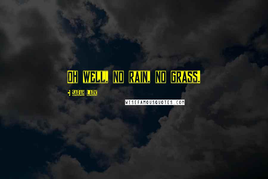 Sarah Lark Quotes: Oh well, no rain, no grass.