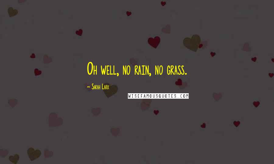 Sarah Lark Quotes: Oh well, no rain, no grass.