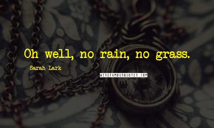 Sarah Lark Quotes: Oh well, no rain, no grass.