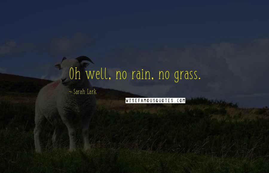 Sarah Lark Quotes: Oh well, no rain, no grass.