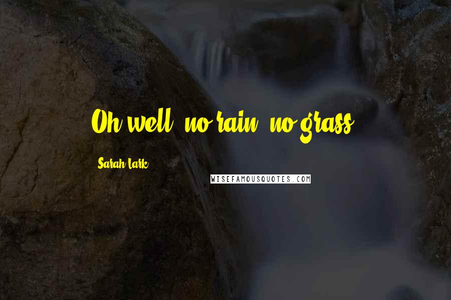 Sarah Lark Quotes: Oh well, no rain, no grass.