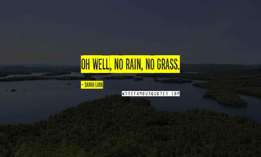 Sarah Lark Quotes: Oh well, no rain, no grass.