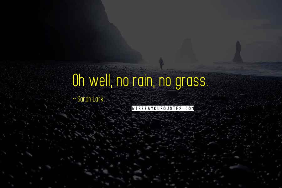 Sarah Lark Quotes: Oh well, no rain, no grass.