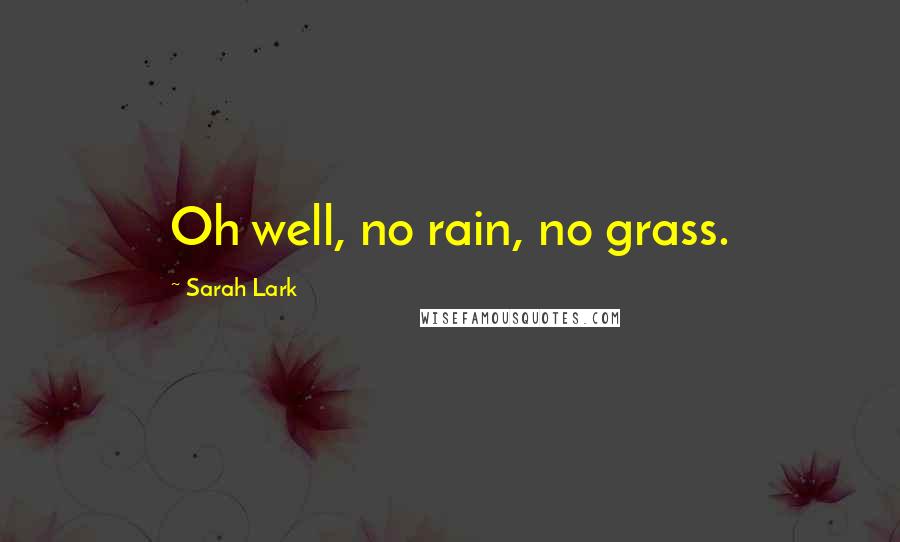 Sarah Lark Quotes: Oh well, no rain, no grass.