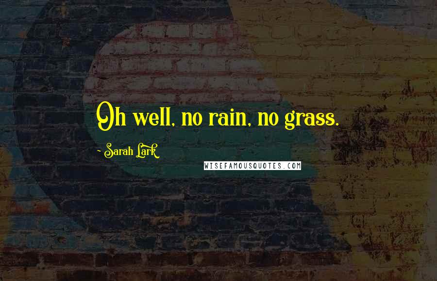 Sarah Lark Quotes: Oh well, no rain, no grass.