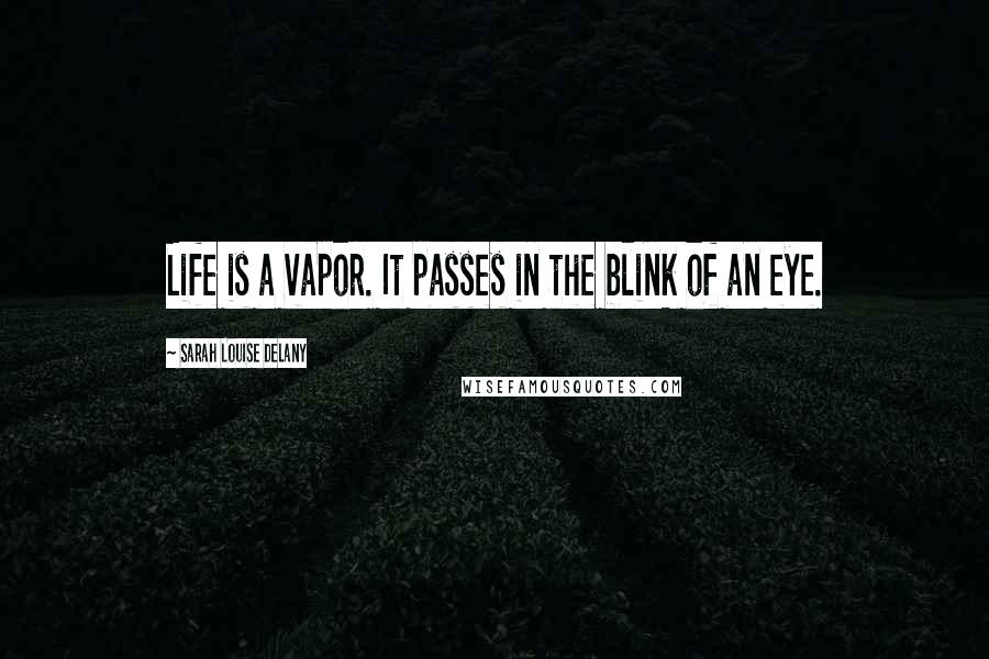 Sarah Louise Delany Quotes: Life is a vapor. It passes in the blink of an eye.
