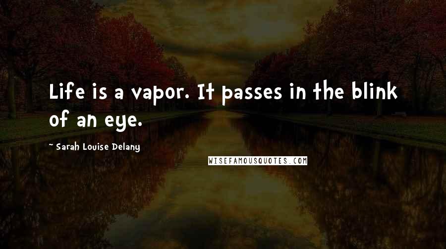 Sarah Louise Delany Quotes: Life is a vapor. It passes in the blink of an eye.