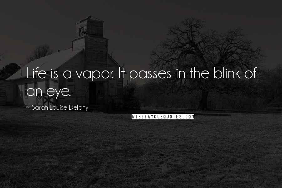 Sarah Louise Delany Quotes: Life is a vapor. It passes in the blink of an eye.