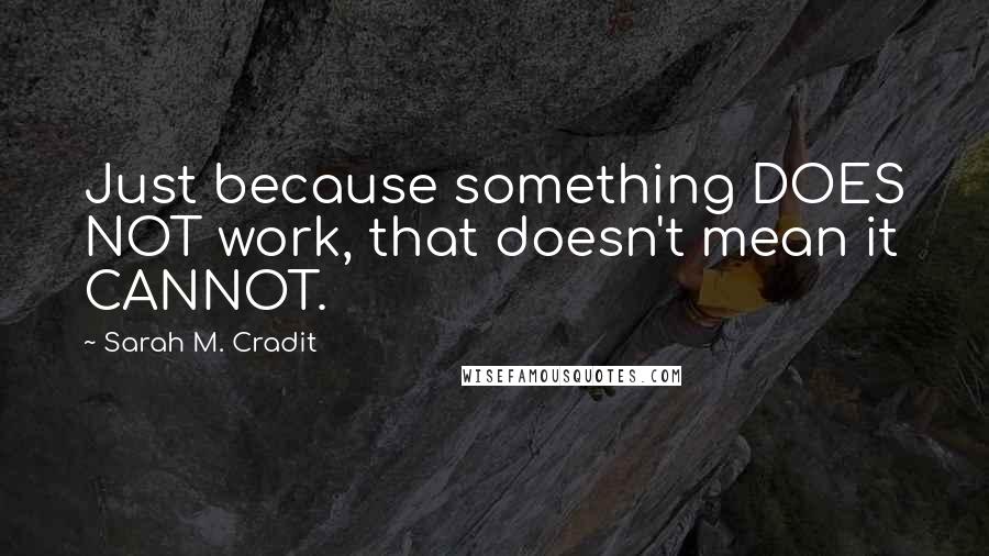 Sarah M. Cradit Quotes: Just because something DOES NOT work, that doesn't mean it CANNOT.