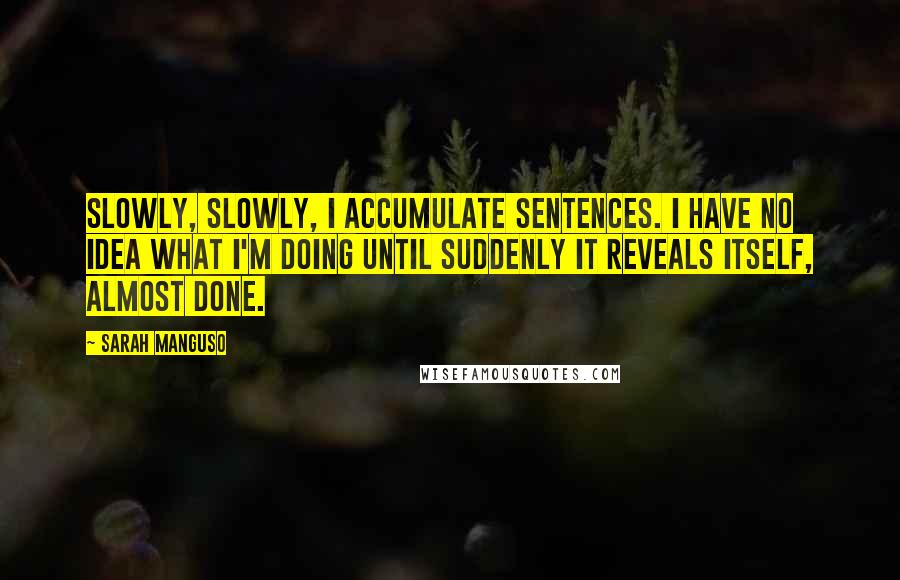 Sarah Manguso Quotes: Slowly, slowly, I accumulate sentences. I have no idea what I'm doing until suddenly it reveals itself, almost done.