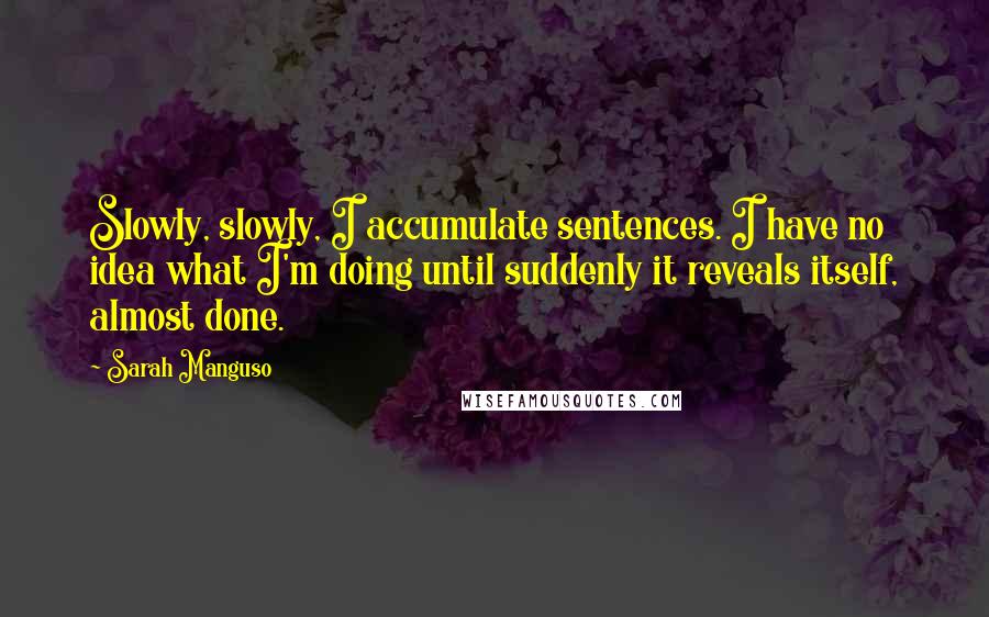 Sarah Manguso Quotes: Slowly, slowly, I accumulate sentences. I have no idea what I'm doing until suddenly it reveals itself, almost done.
