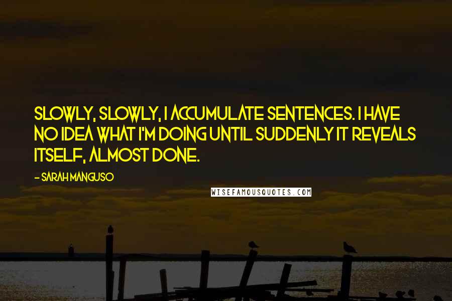 Sarah Manguso Quotes: Slowly, slowly, I accumulate sentences. I have no idea what I'm doing until suddenly it reveals itself, almost done.