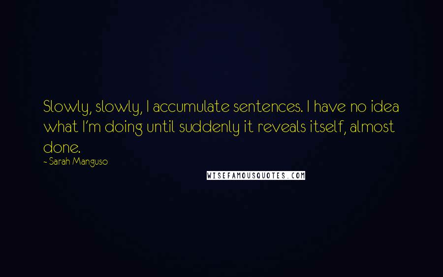 Sarah Manguso Quotes: Slowly, slowly, I accumulate sentences. I have no idea what I'm doing until suddenly it reveals itself, almost done.
