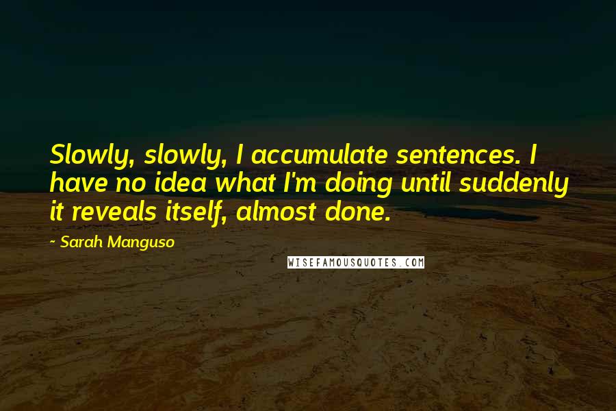 Sarah Manguso Quotes: Slowly, slowly, I accumulate sentences. I have no idea what I'm doing until suddenly it reveals itself, almost done.