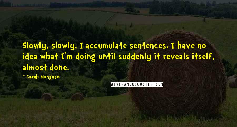 Sarah Manguso Quotes: Slowly, slowly, I accumulate sentences. I have no idea what I'm doing until suddenly it reveals itself, almost done.