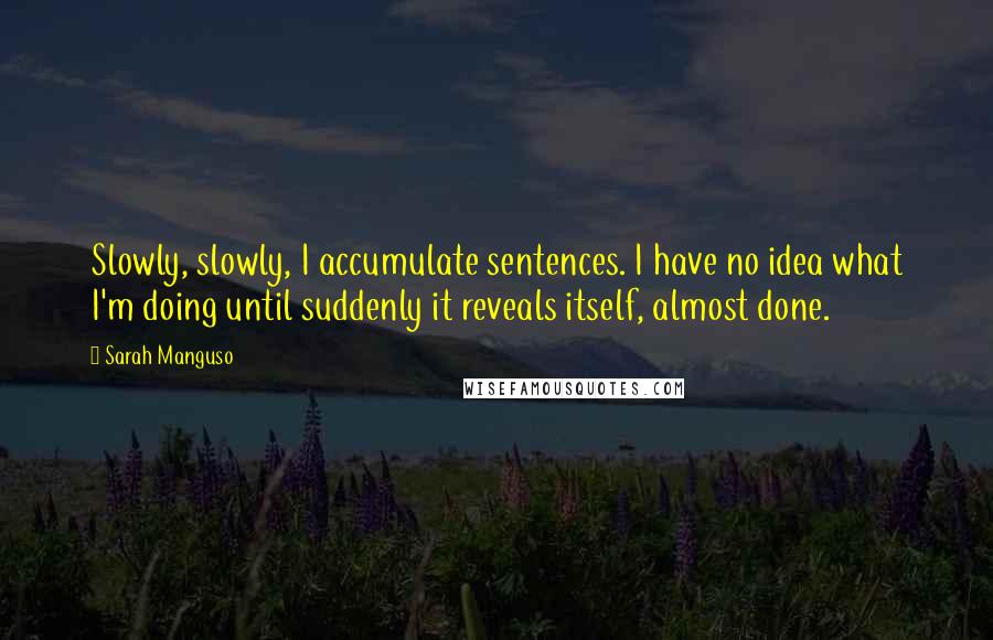 Sarah Manguso Quotes: Slowly, slowly, I accumulate sentences. I have no idea what I'm doing until suddenly it reveals itself, almost done.