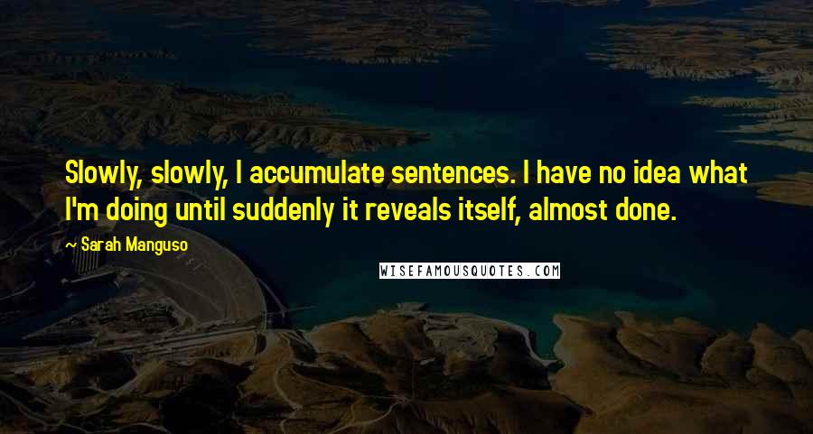 Sarah Manguso Quotes: Slowly, slowly, I accumulate sentences. I have no idea what I'm doing until suddenly it reveals itself, almost done.
