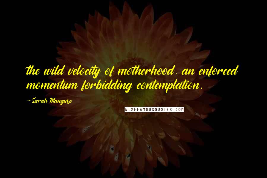 Sarah Manguso Quotes: the wild velocity of motherhood, an enforced momentum forbidding contemplation.
