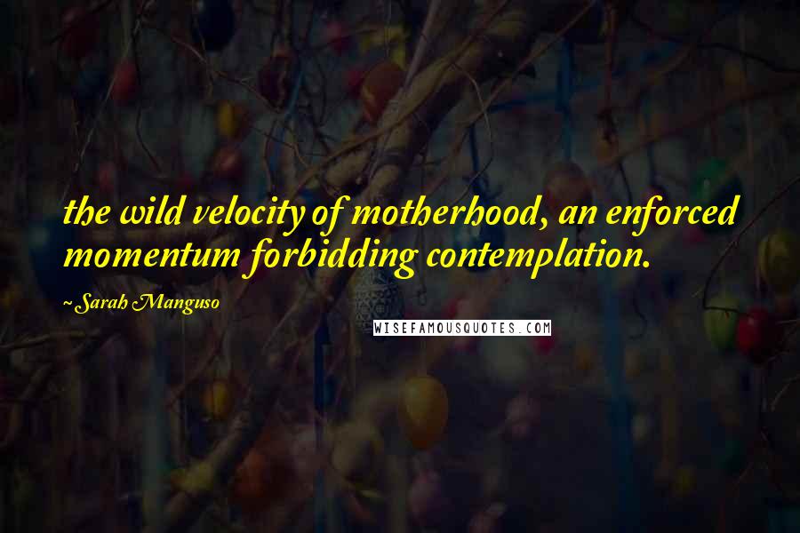 Sarah Manguso Quotes: the wild velocity of motherhood, an enforced momentum forbidding contemplation.