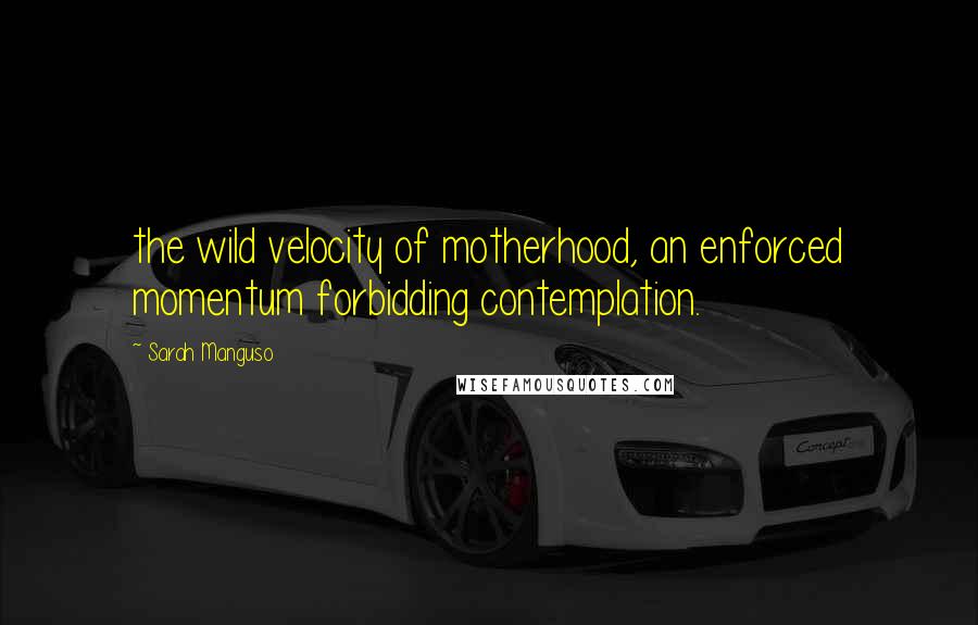 Sarah Manguso Quotes: the wild velocity of motherhood, an enforced momentum forbidding contemplation.