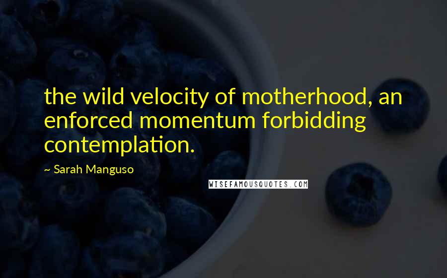 Sarah Manguso Quotes: the wild velocity of motherhood, an enforced momentum forbidding contemplation.