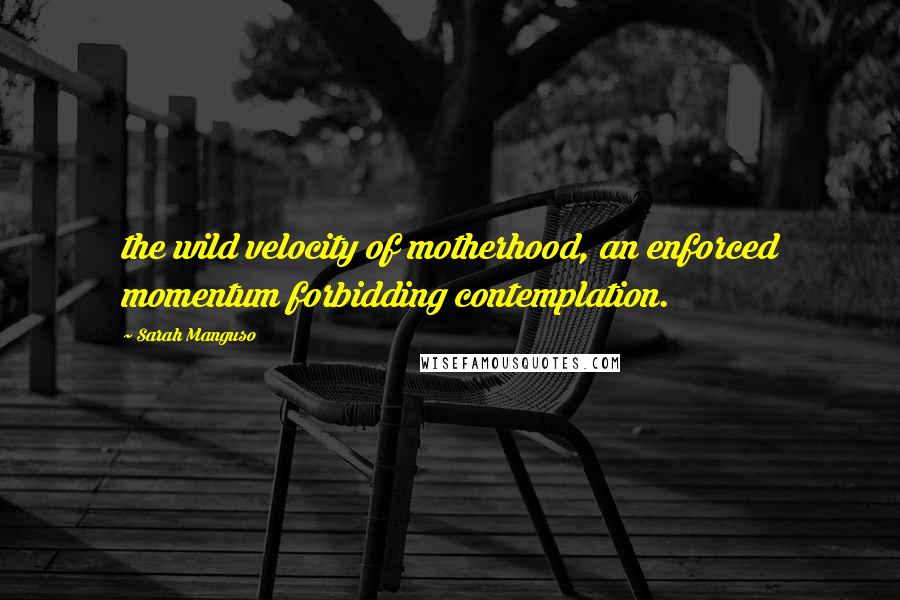 Sarah Manguso Quotes: the wild velocity of motherhood, an enforced momentum forbidding contemplation.