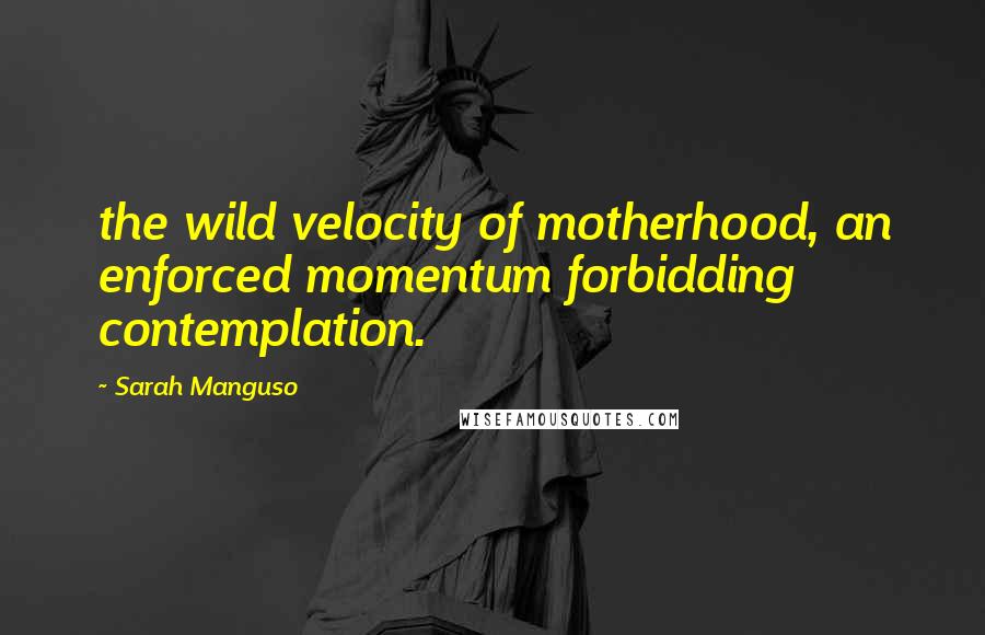 Sarah Manguso Quotes: the wild velocity of motherhood, an enforced momentum forbidding contemplation.