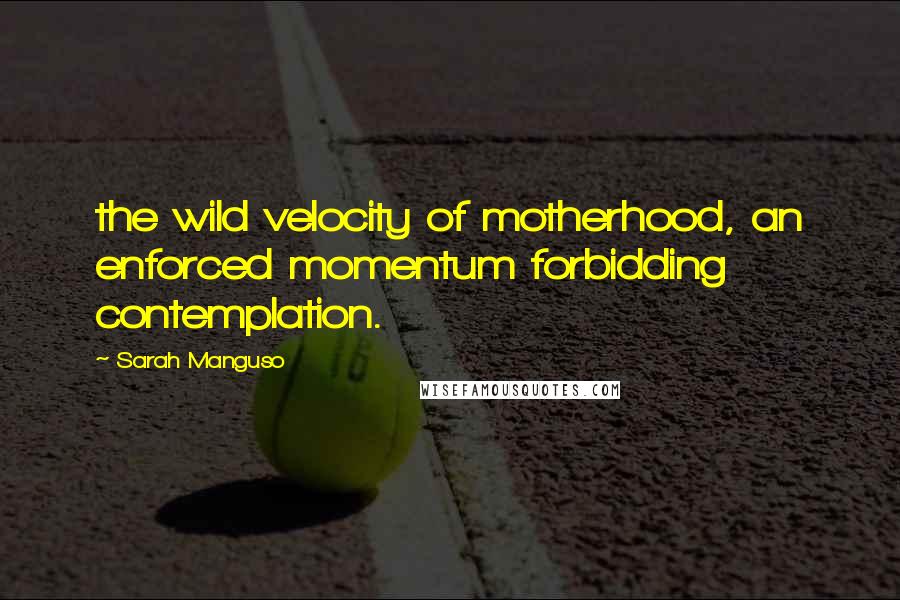 Sarah Manguso Quotes: the wild velocity of motherhood, an enforced momentum forbidding contemplation.