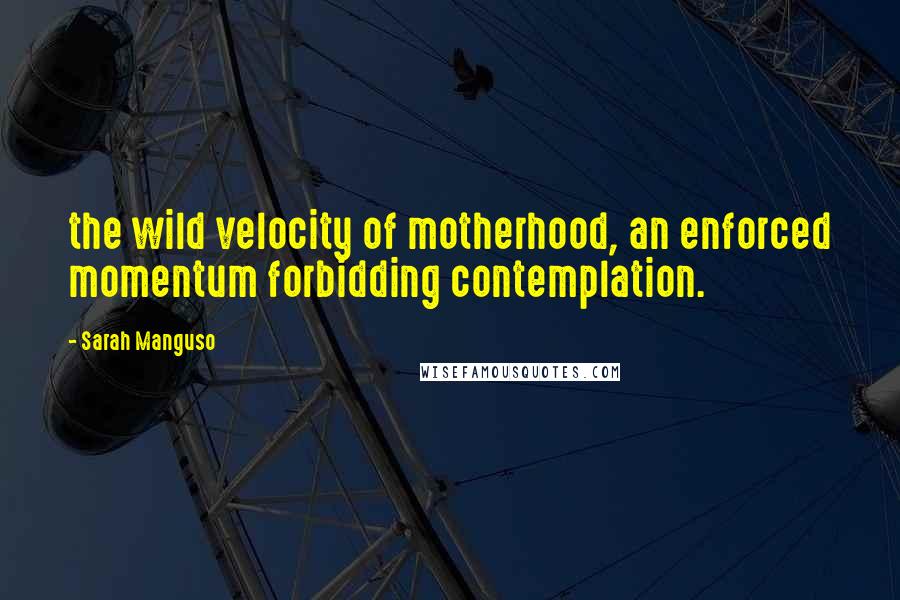 Sarah Manguso Quotes: the wild velocity of motherhood, an enforced momentum forbidding contemplation.