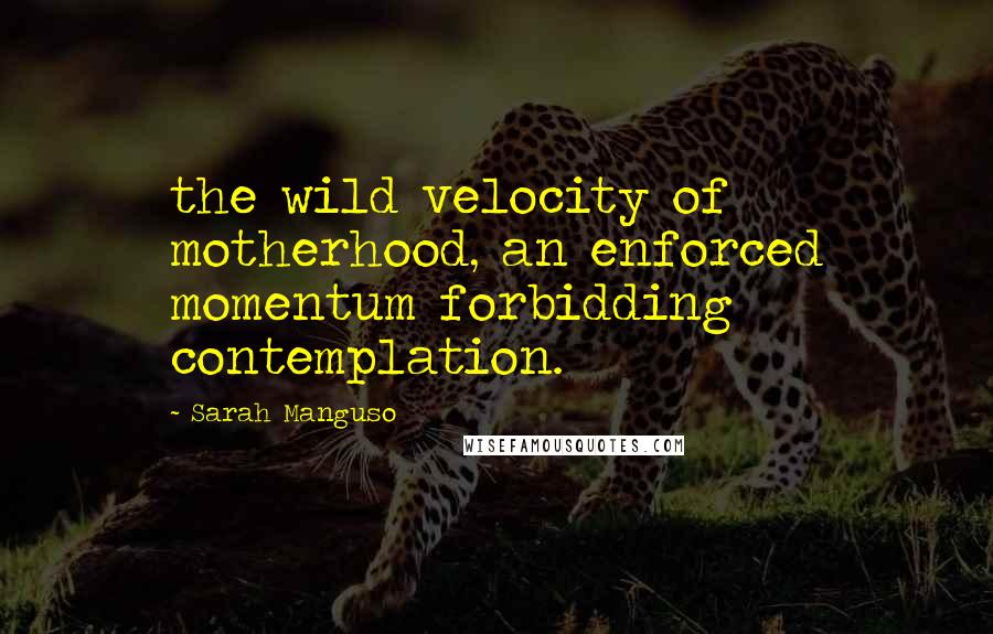 Sarah Manguso Quotes: the wild velocity of motherhood, an enforced momentum forbidding contemplation.
