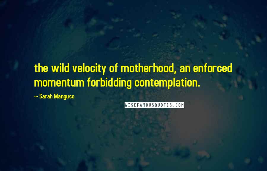 Sarah Manguso Quotes: the wild velocity of motherhood, an enforced momentum forbidding contemplation.