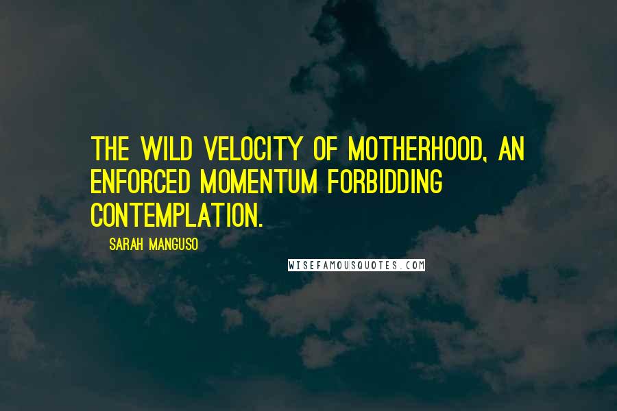 Sarah Manguso Quotes: the wild velocity of motherhood, an enforced momentum forbidding contemplation.