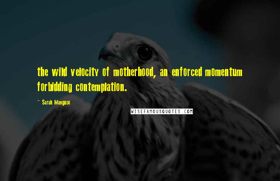 Sarah Manguso Quotes: the wild velocity of motherhood, an enforced momentum forbidding contemplation.